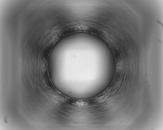 X0000098110464200804181456