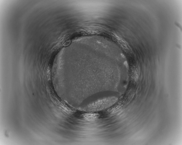 X0000098110465200804181456