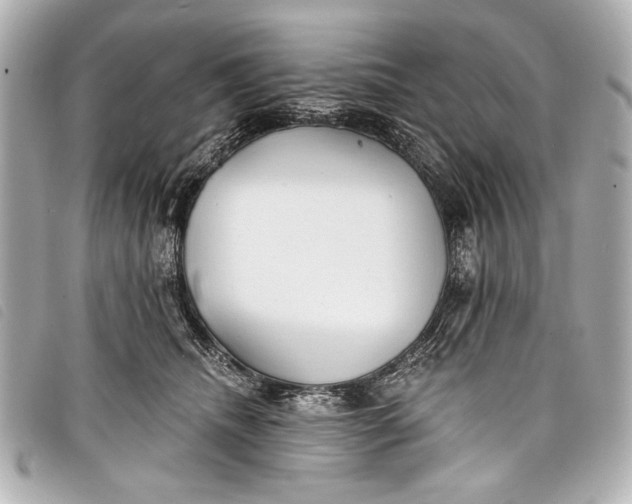 X0000098110468200804181456