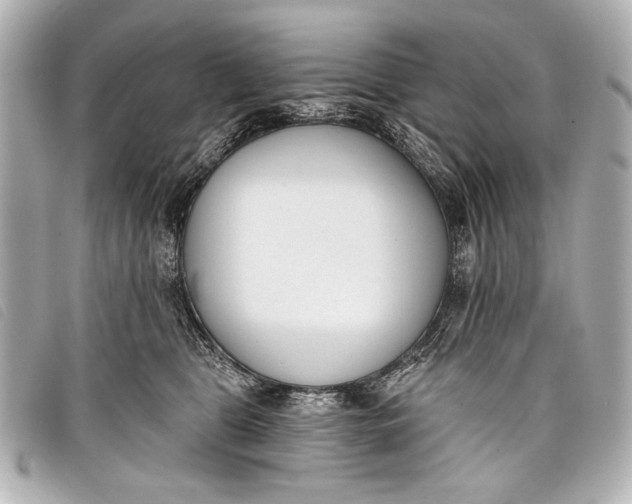 X0000098110469200804181456