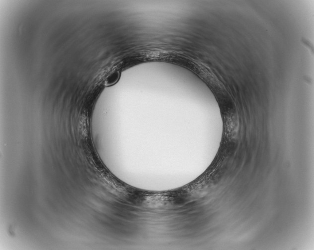 X0000098110470200804181456