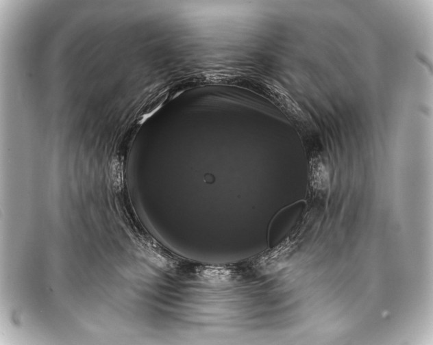 X0000098110471200804181456