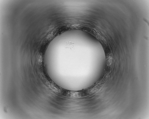 X0000098110472200804181457