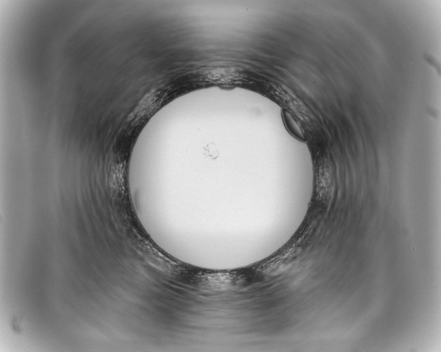 X0000098110473200804181457