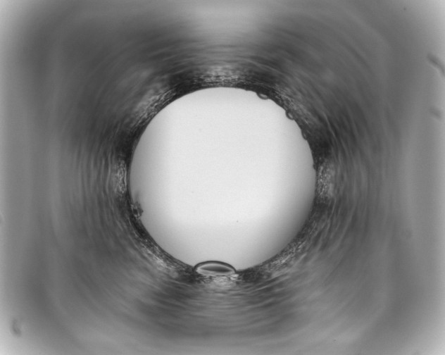 X0000098110474200804181457
