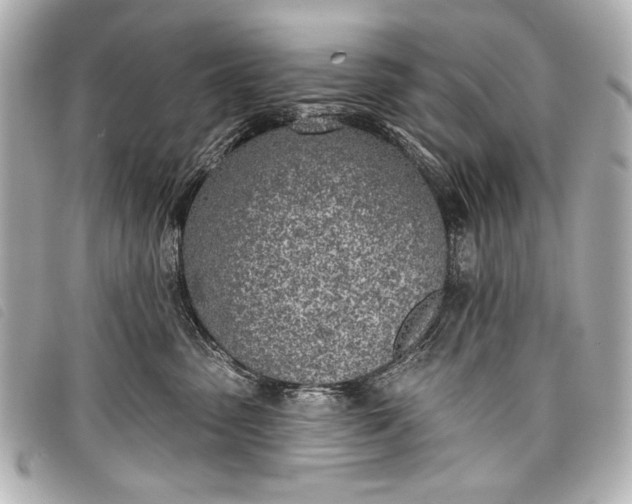 X0000098110475200804181457