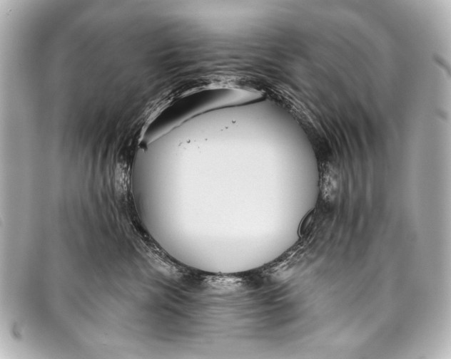 X0000098110476200804181457