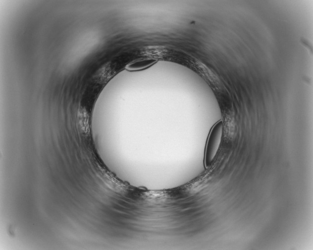 X0000098110477200804181457