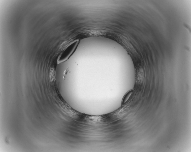 X0000098110478200804181457