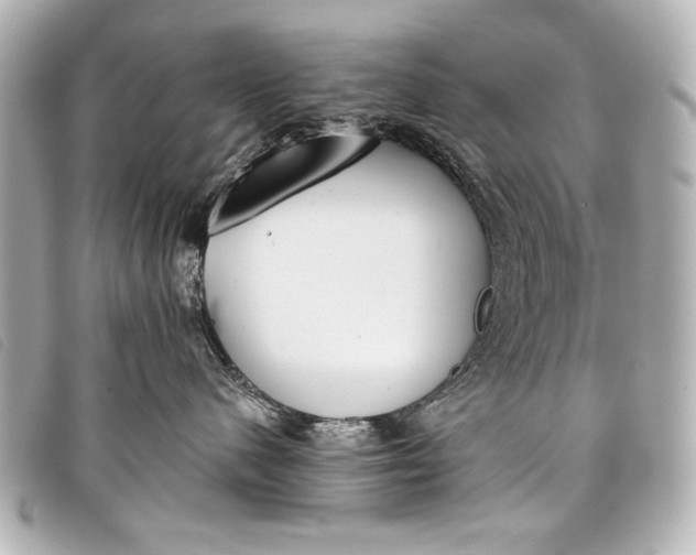 X0000098110480200804181457