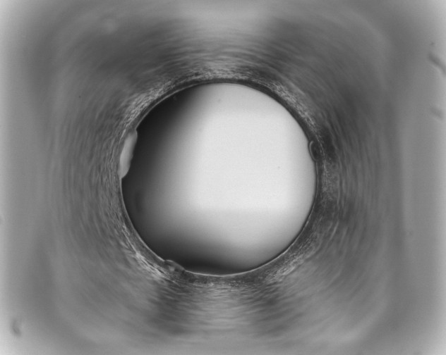 X0000098110481200804181456