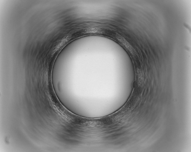 X0000098110482200804181456