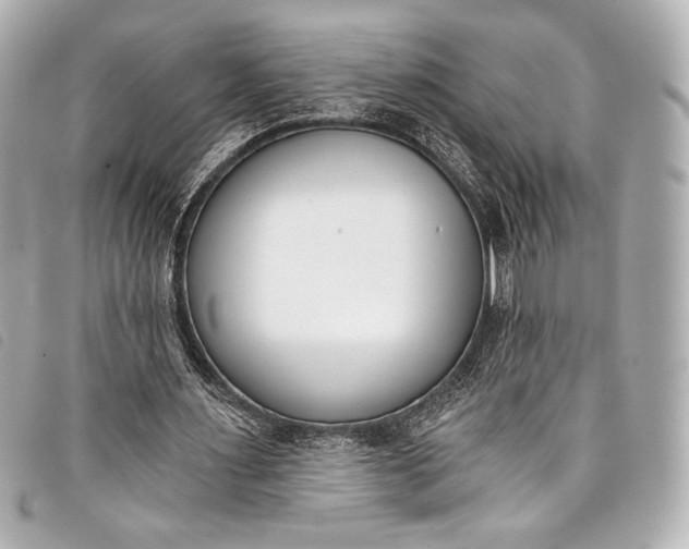 X0000098110483200804181456
