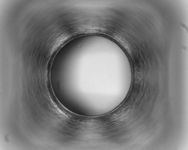 X0000098110485200804181456