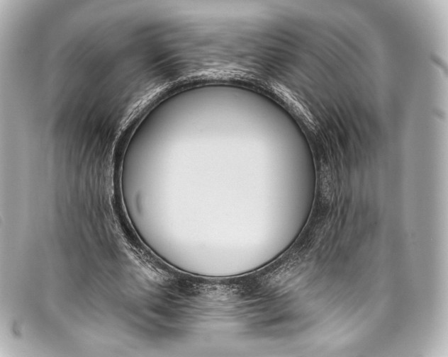 X0000098110486200804181456