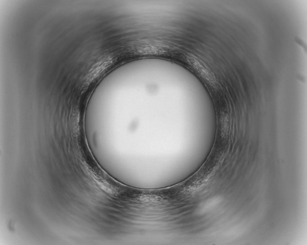 X0000098110490200804181456