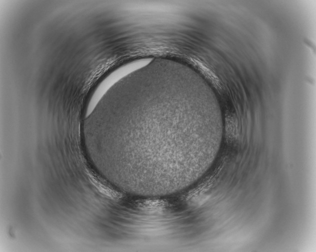 X0000098110493200804181456