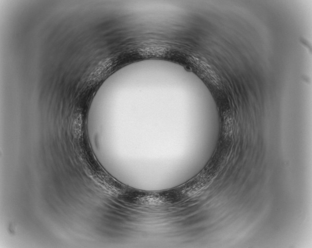 X0000098110498200804181456