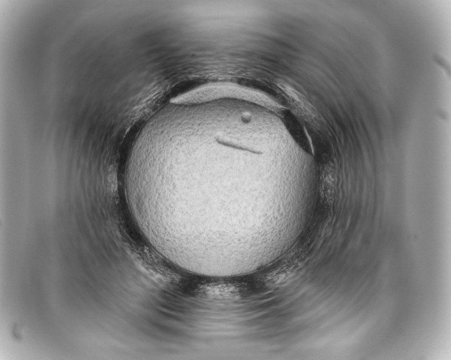 X0000098110500200804181456