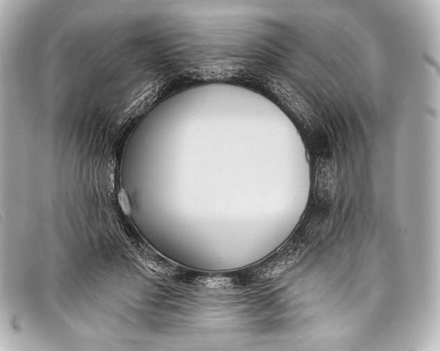 X0000098110501200804181456