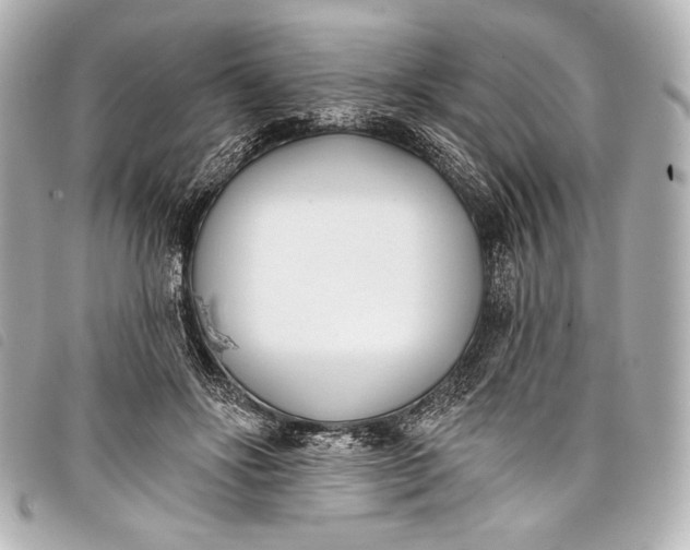 X0000098110502200804181455