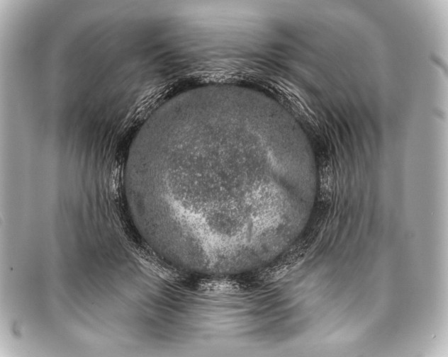 X0000098110503200804181455