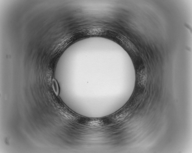 X0000098110505200804181455
