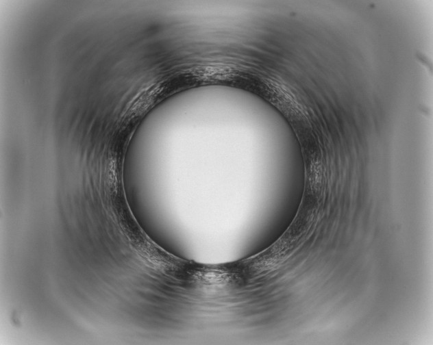 X0000098110506200804181455