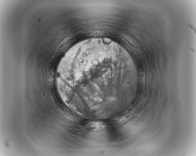X0000098110507200804181455