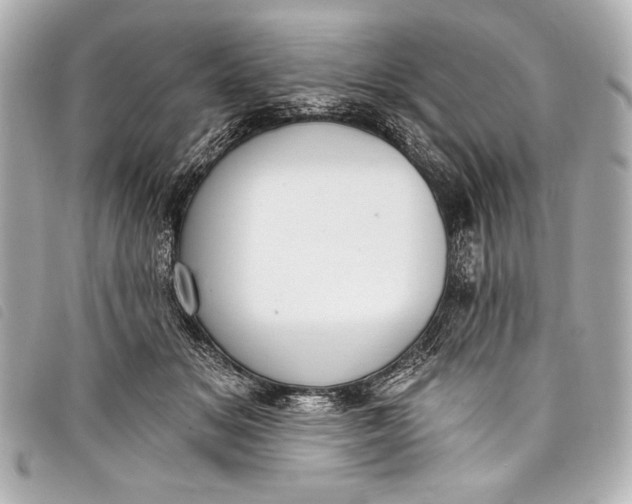 X0000098110509200804181455