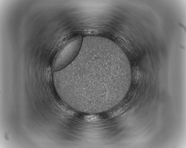 X0000098110511200804181455