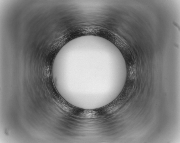 X0000098110514200804181455