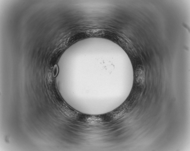 X0000098110515200804181455