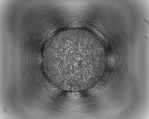 X0000098110517200804181455
