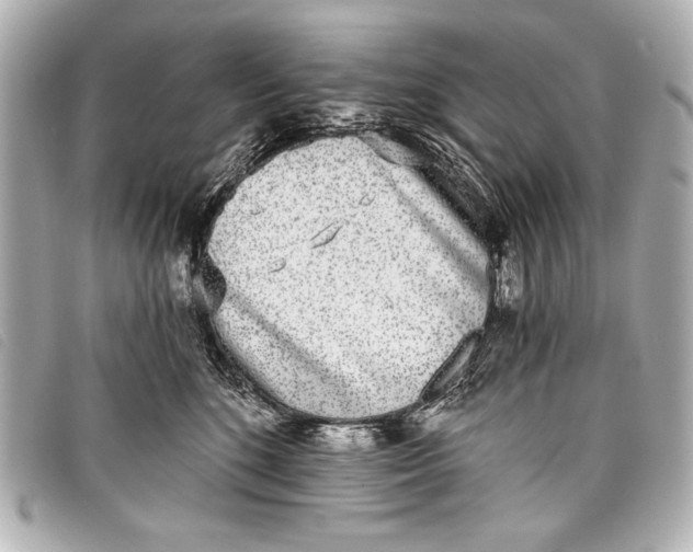 X0000098110520200804181455