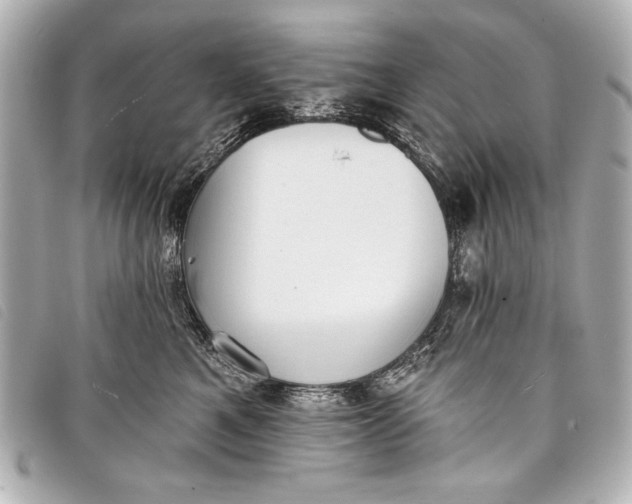 X0000098110521200804181455