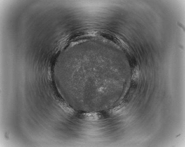 X0000098110524200804181455