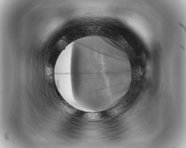 X0000098110526200804181455