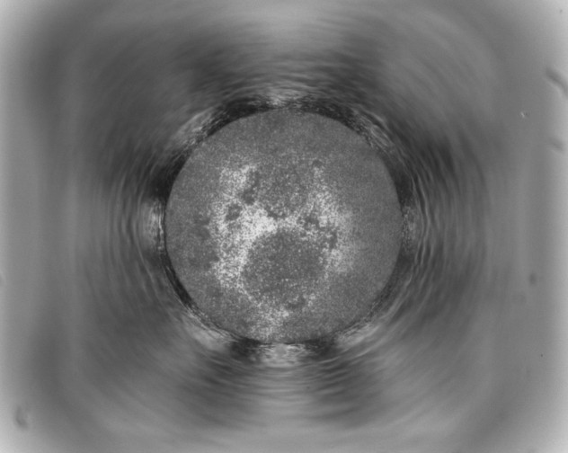 X0000098110527200804181455