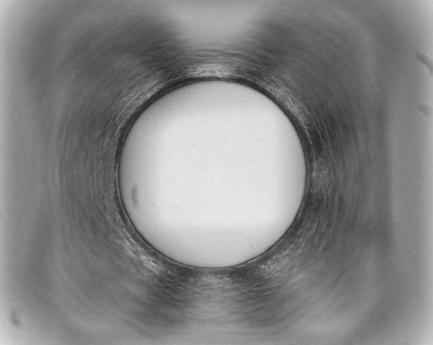 X0000098110529200804181454