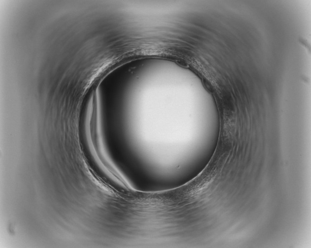X0000098110530200804181454