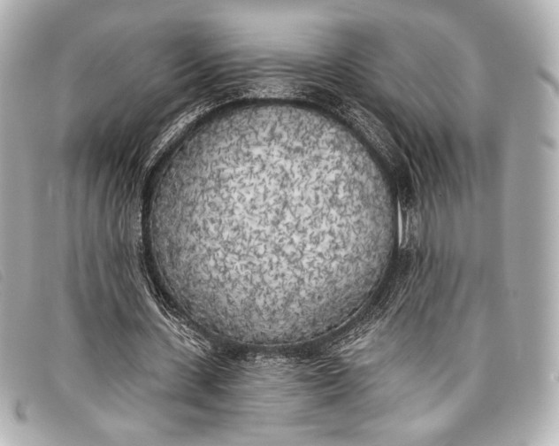 X0000098110531200804181454