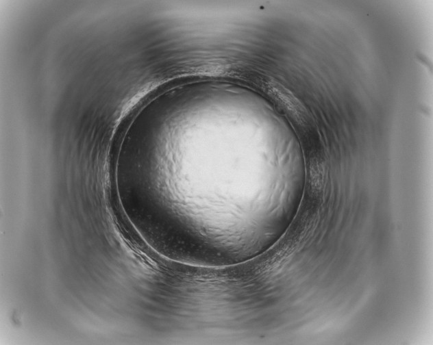 X0000098110532200804181454