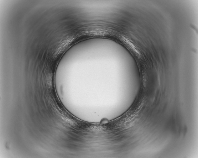 X0000098110537200804181454