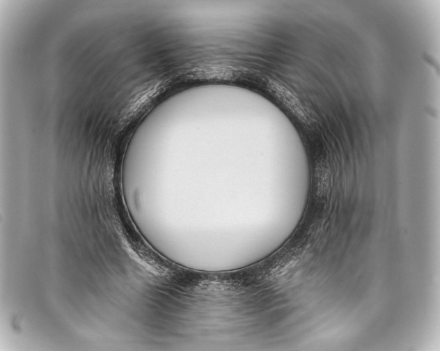 X0000098110538200804181454