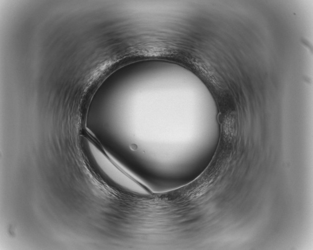 X0000098110540200804181454