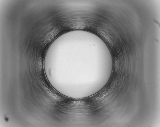 X0000098110541200804181454