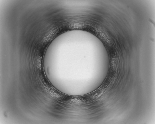 X0000098110545200804181454