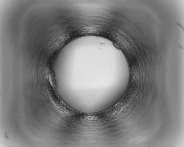 X0000098110546200804181454