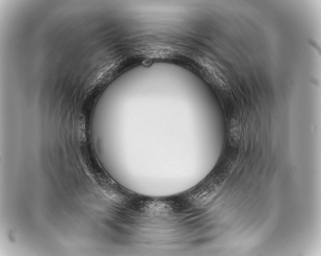 X0000098110547200804181454
